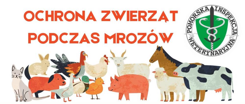 Obraz Ulotka - ochrona zwierząt podczas mrozów